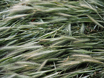 Similar image 21417084