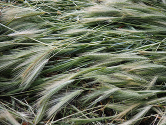 Similar image 21417906