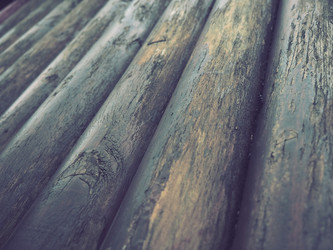 Similar image 21417909