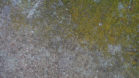 Similar image 21417910