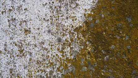 Similar image 21417911