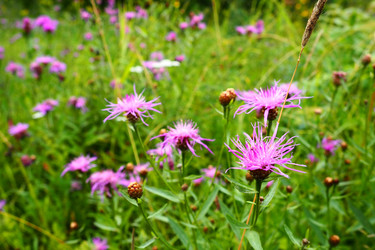 Similar image 21417912