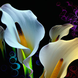 Similar image 21417914