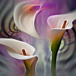 Similar image 21418267