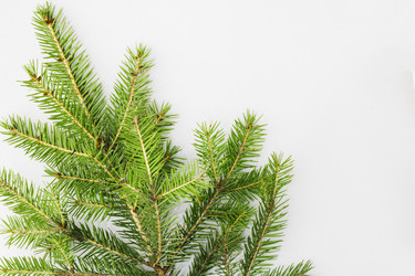 Similar image 21421554