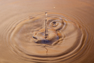 Similar image 21383858