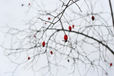 Similar image 21399528