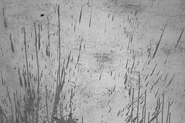 Similar image 21382689