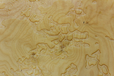 Similar image 21382696