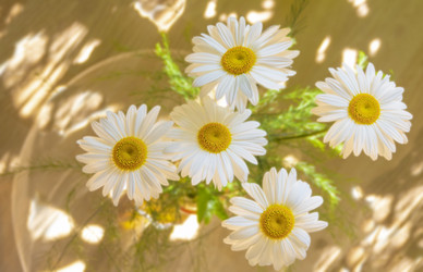 Similar image 21382701