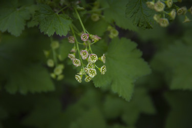 Similar image 21382707