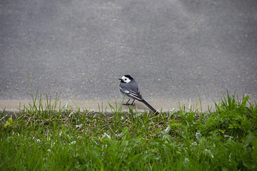 Similar image 21382708