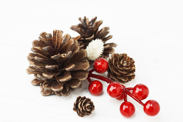 Similar image 21421568