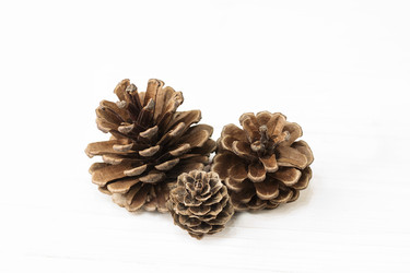 Similar image 21421569