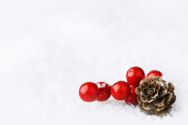 Similar image 21421593