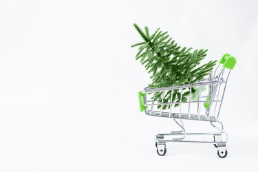 Similar image 21421595