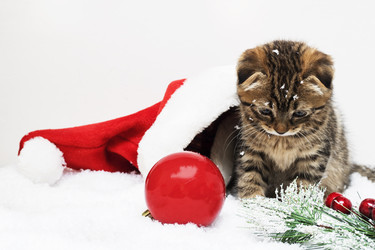 Similar image 21421597