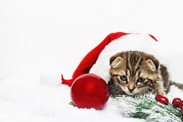 Similar image 21421598