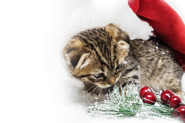 Similar image 21421599