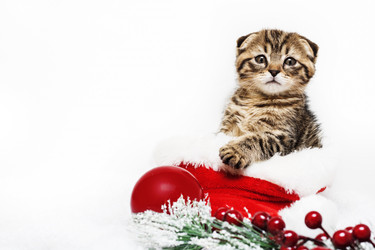 Similar image 21421600