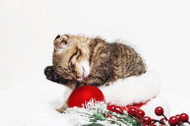 Similar image 21421601