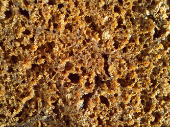 Similar image 21416656