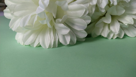 Similar image 21418269