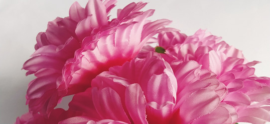 Similar image 21418271