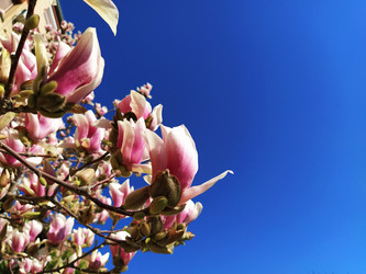 Similar image 21389192