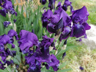 Similar image 21389193