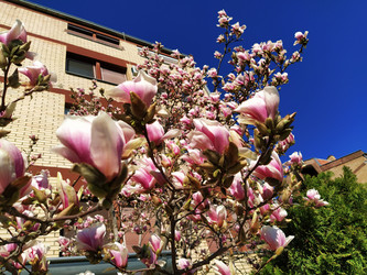 Similar image 21389194