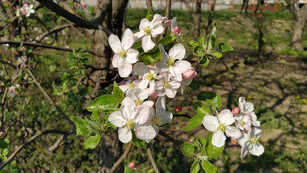 Similar image 21389196