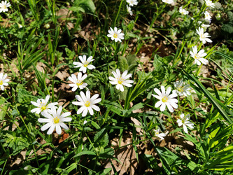 Similar image 21389197