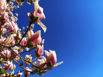 Similar image 21389426