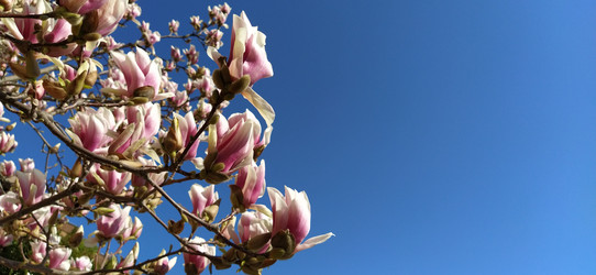 Similar image 21389429