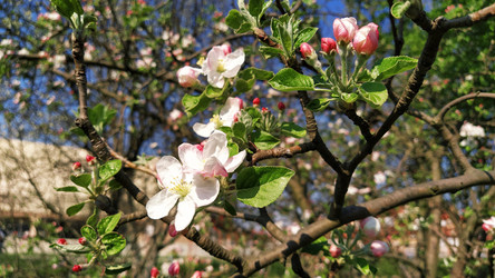 Similar image 21389430