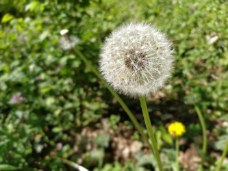 Similar image 21389431