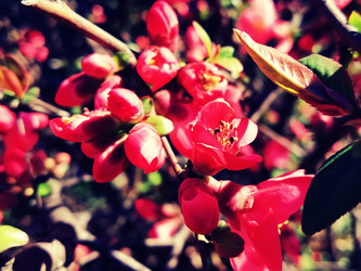 Similar image 21389434