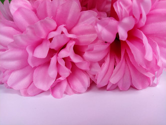 Similar image 21390469