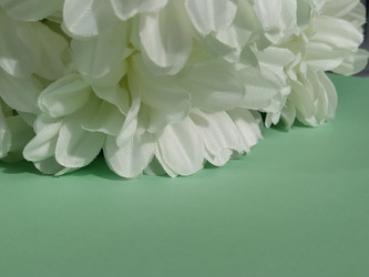 Similar image 21390474