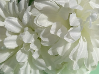 Similar image 21390477