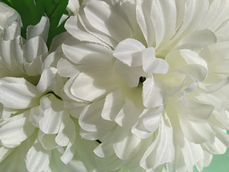 Similar image 21390480