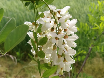 Similar image 21390482