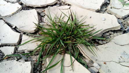 Similar image 21390746