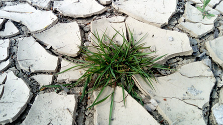 Similar image 21390749