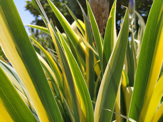 Similar image 21390753