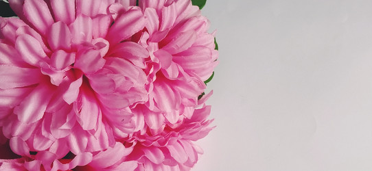 Similar image 21390756