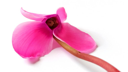 Similar image 21390758