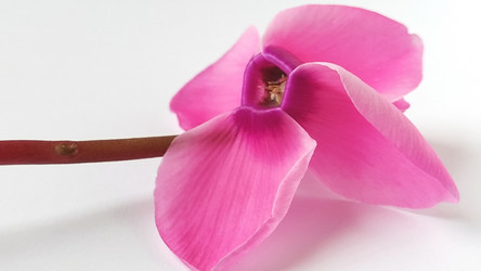 Similar image 21390760