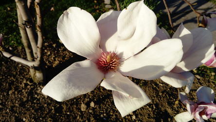 Similar image 21415877